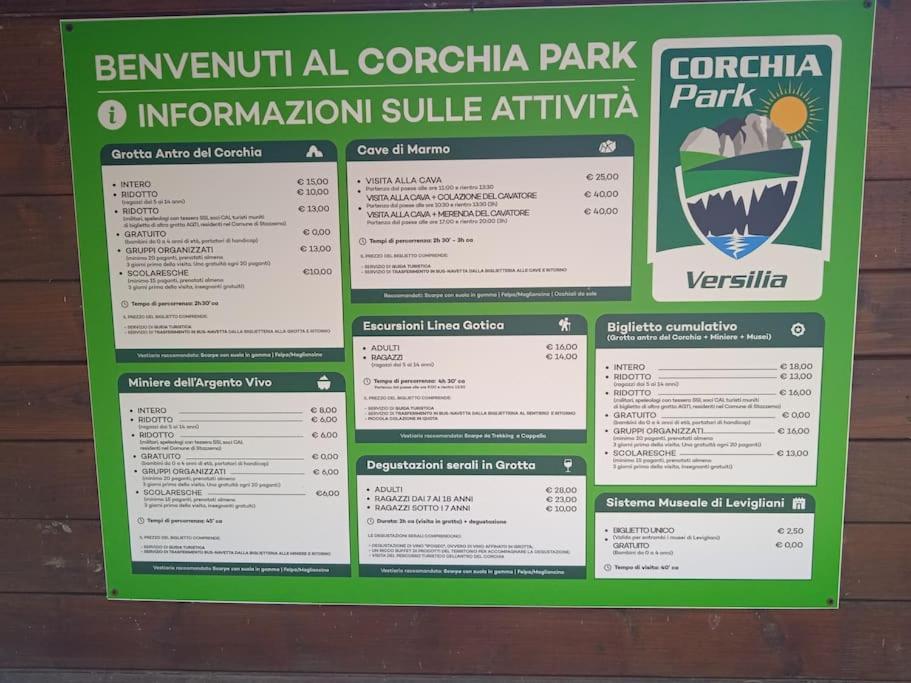 Mobile Home Viareggio - Including Airco- Camping Paradiso - G008 Exterior foto